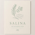 Salina Sea Mineral Soak poster in sea glass green and warm sand tones with salt crystal and coastal herb illustration